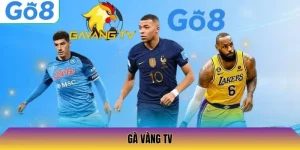 Gà Vàng TV