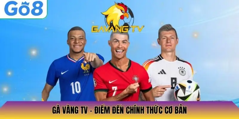 Gà Vàng TV – Điểm đến chính thức cơ bản