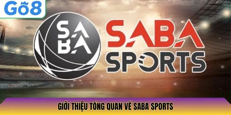 Giới thiệu tổng quan về SABA Sports