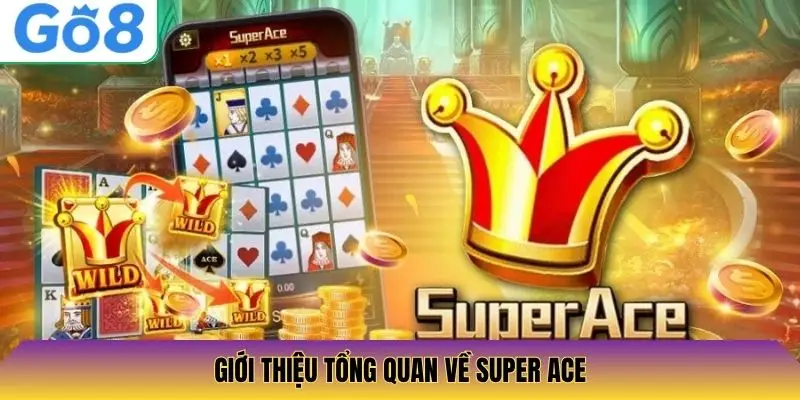 Giới thiệu tổng quan về Super Ace