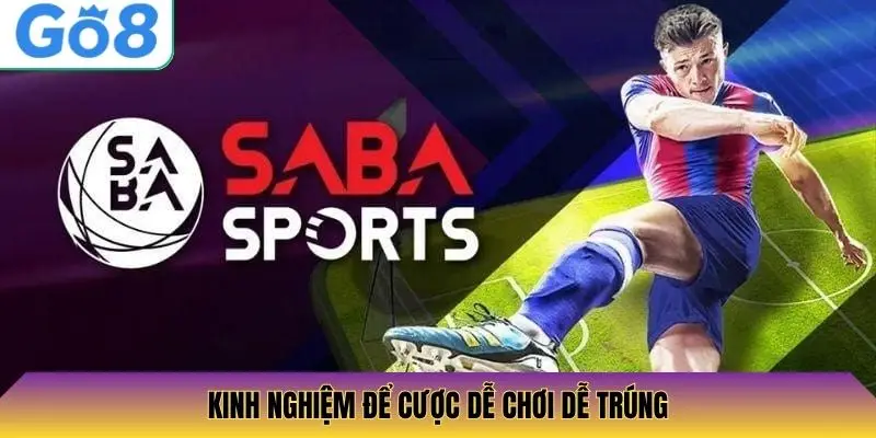 Kinh nghiệm để cược dễ chơi dễ trúng