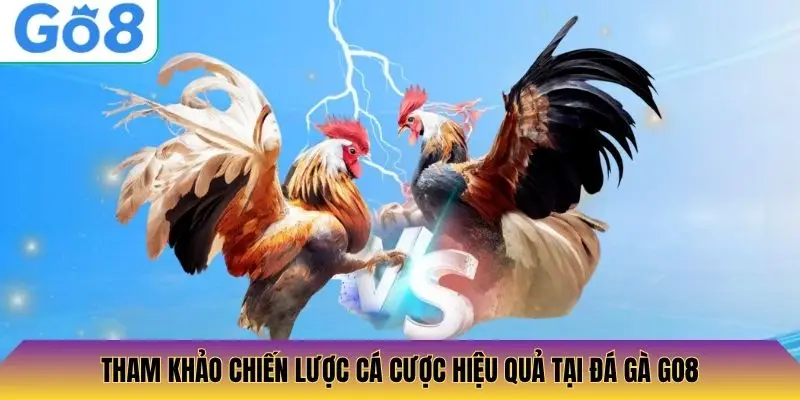 Tham khảo chiến lược cá cược hiệu quả tại đá gà Go8