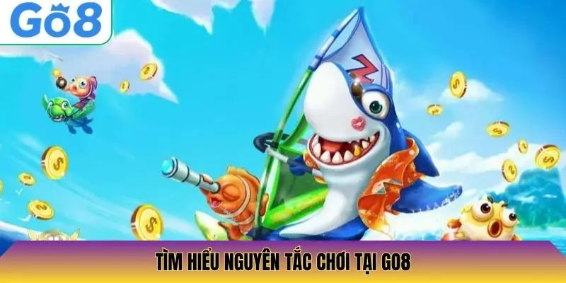 Tìm hiểu nguyên tắc chơi tại Go8